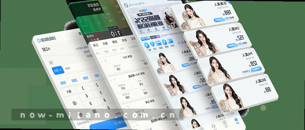 隐私政策与权益说明